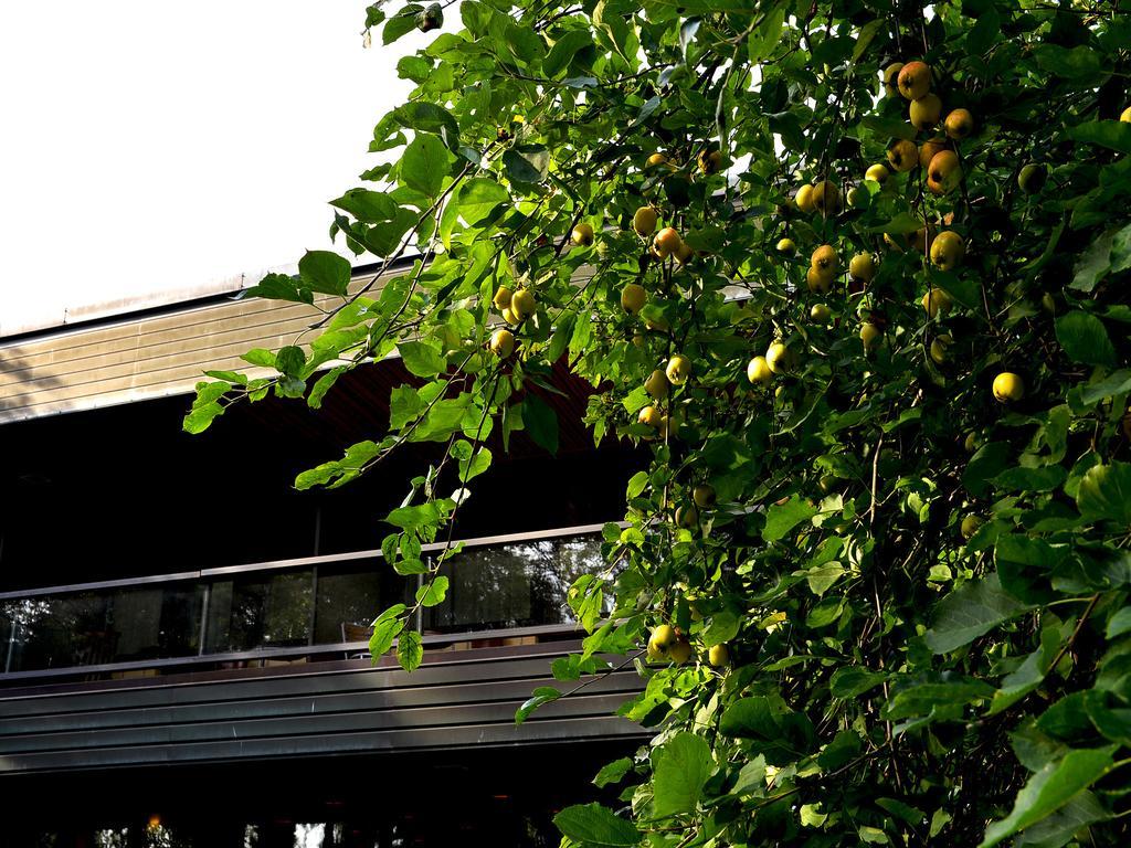 Hotel Fjalar Salo  Esterno foto